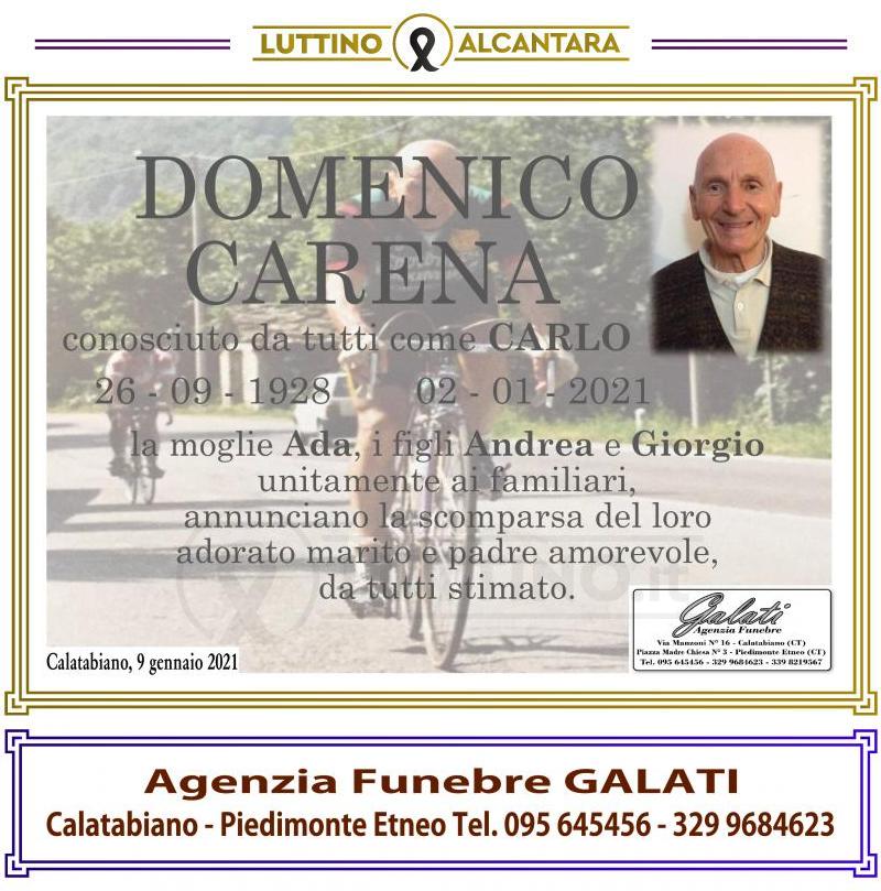 Domenico  Carena 